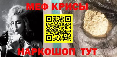 СК Бердск