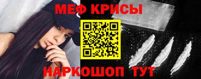 СК Бердск