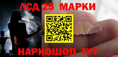 СК Бердск