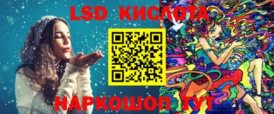 СК Бердск