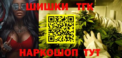 СК Бердск