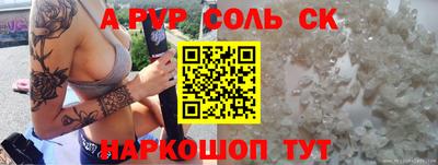 СК Бердск