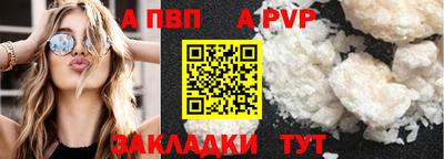 СК Бердск