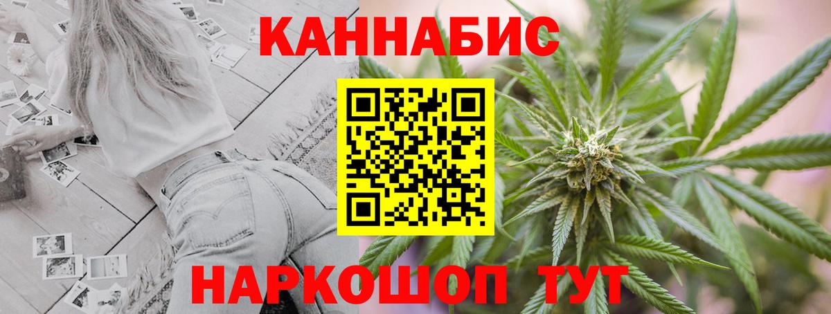 Конопля сатива Артём